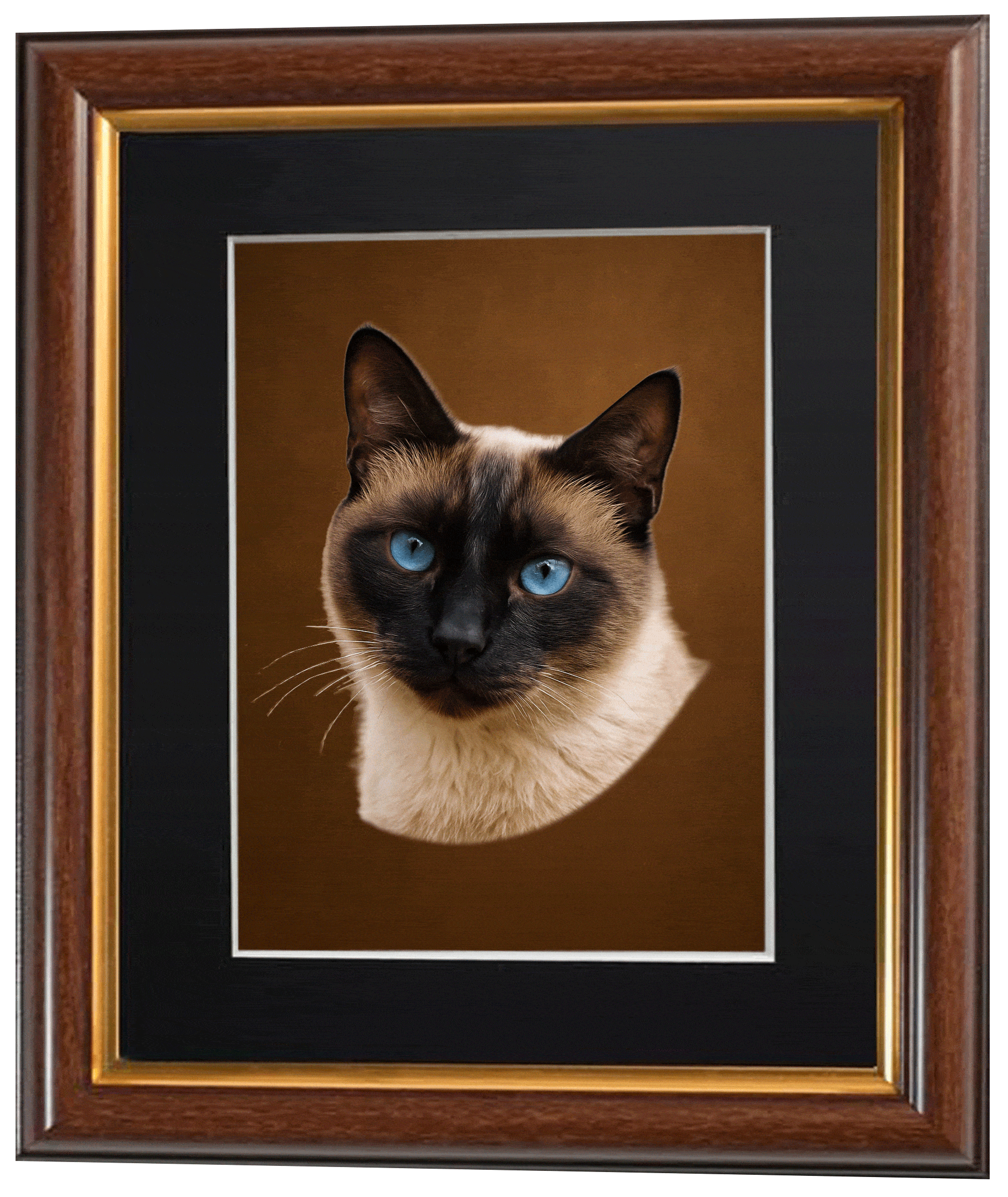 two flip picture of a siamese cats head