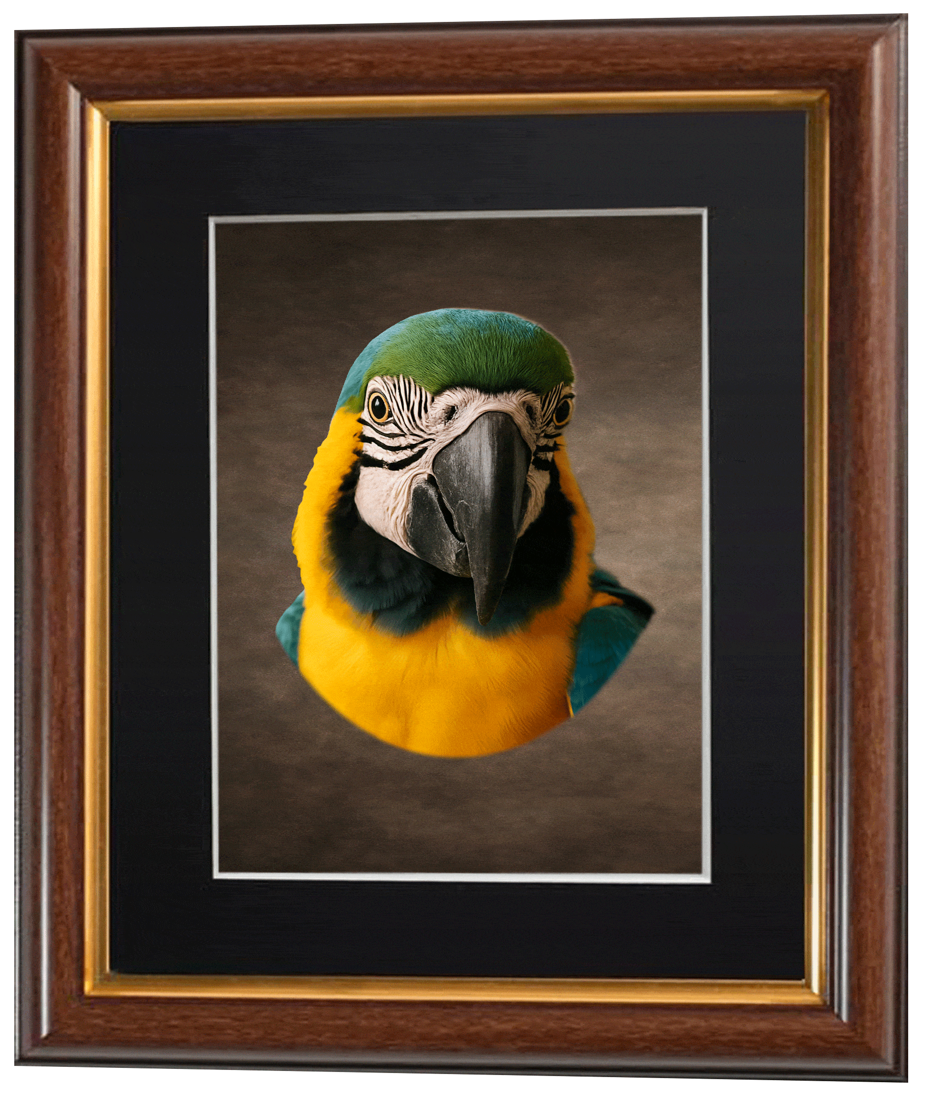 flip image of a parrots head