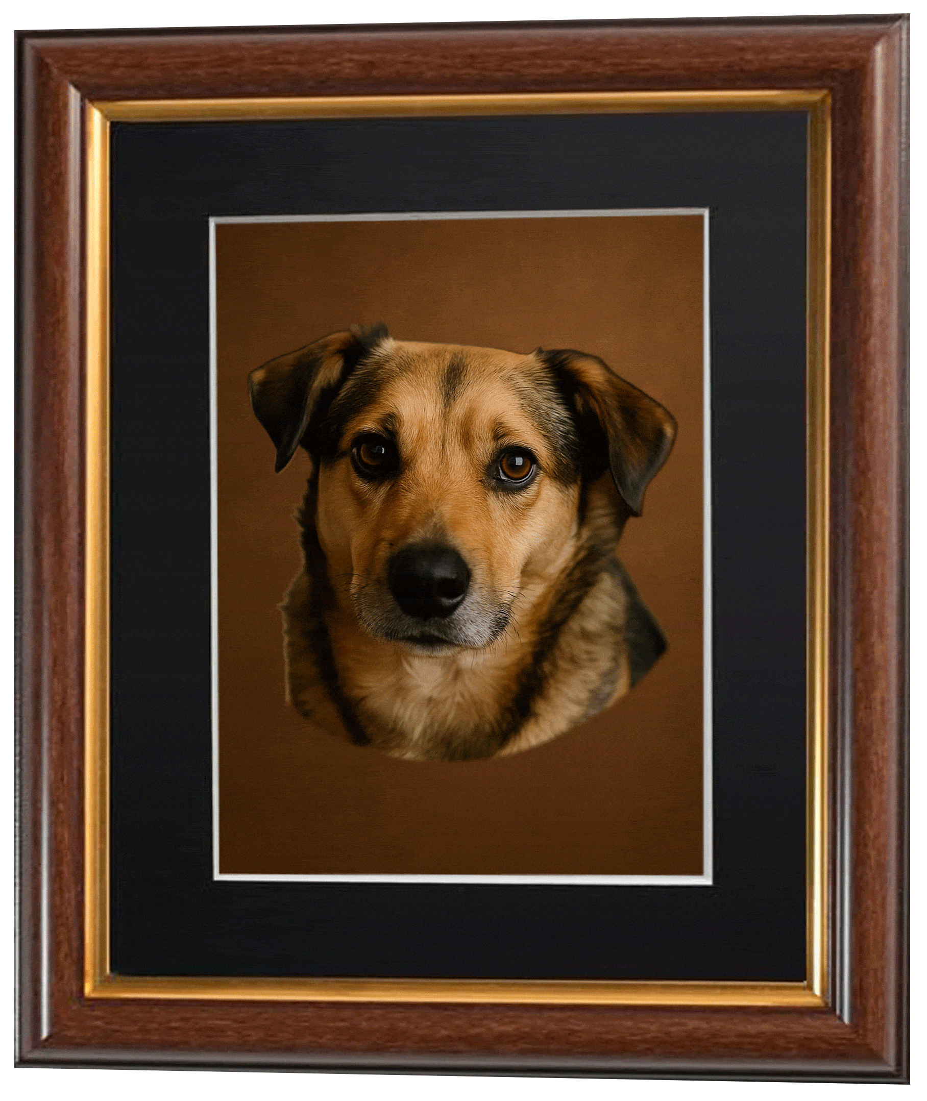 to flip images of a dogds head